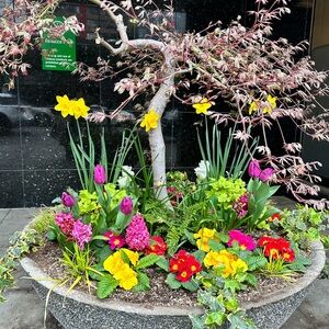 Meet your Posher, Gloria